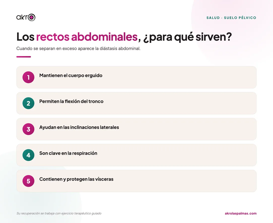 Los rectos abdominales, para qué sirven
