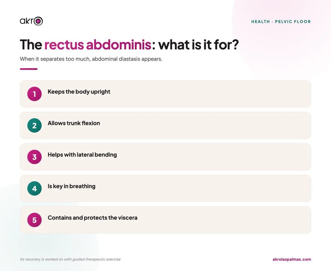 The rectus abdominis: what is it for?